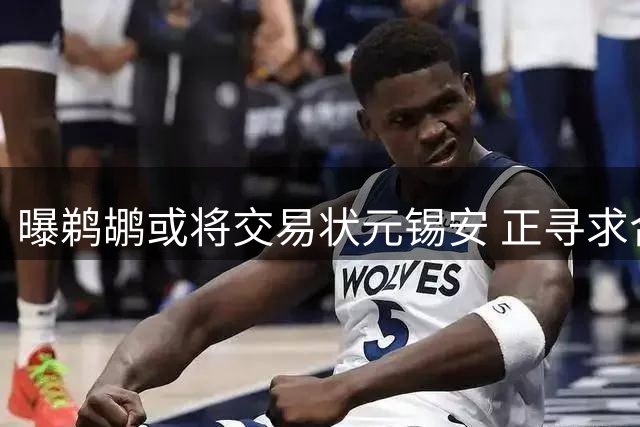 曝鹈鹕或将交易状元锡安 正寻求合理报价